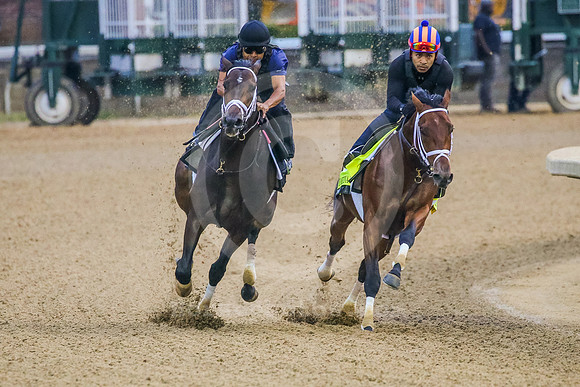 pioneerofmedina05_rn