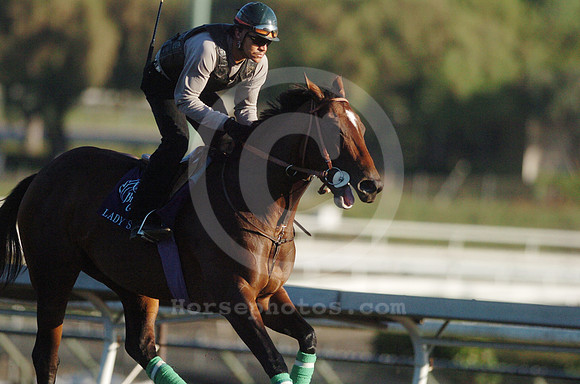 ladysprinter01_hr