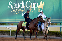 230222C924RIAD