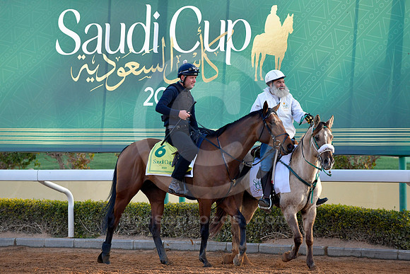 230222C924RIAD