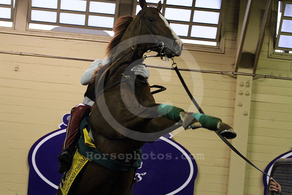 californiachrome361_cg