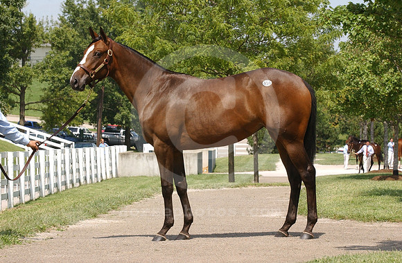 kee09_03hip456C_jd