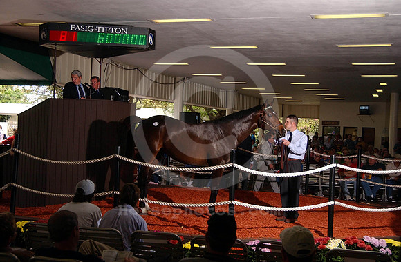 ft03hip81r_jd