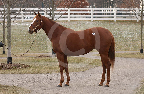 hip267C_jd