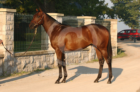 kee09_03hip508C_jd