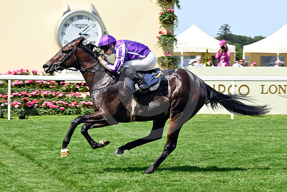 250617D584ROYAL_ASCOT