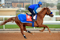 230222C916RIAD