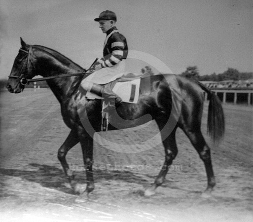 waradmiral09