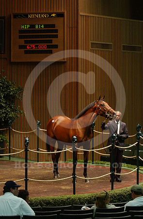 kee09_03hip814R_jd