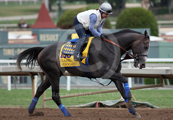 arrogate28_cg