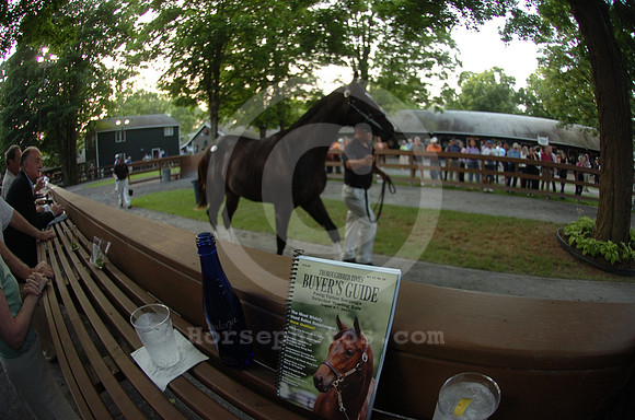 ft0807_horsesales09_jd