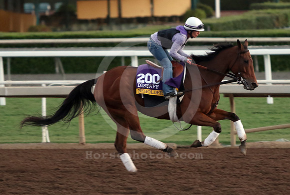 beholder388_cg