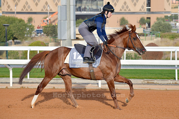 230222C938RIAD