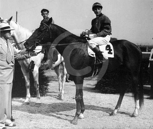whirlaway01