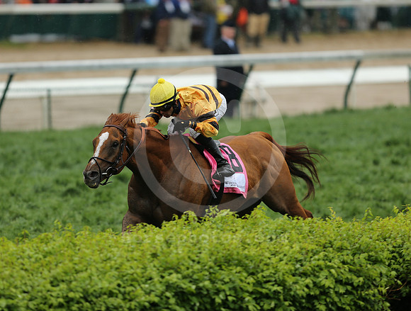 wisedan73