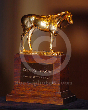 eclipse04_eciplsegold trophy02