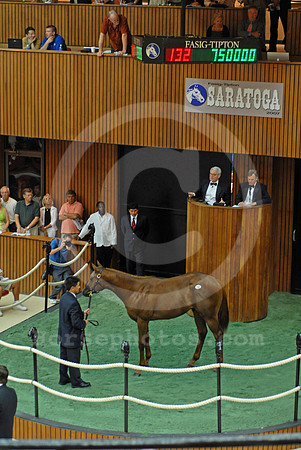 ft0807_hip132R_jd