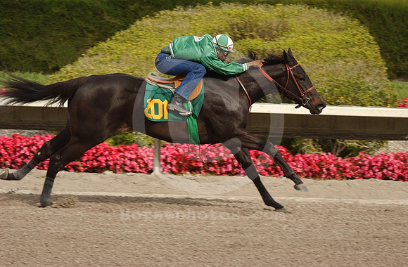 hip201_jd