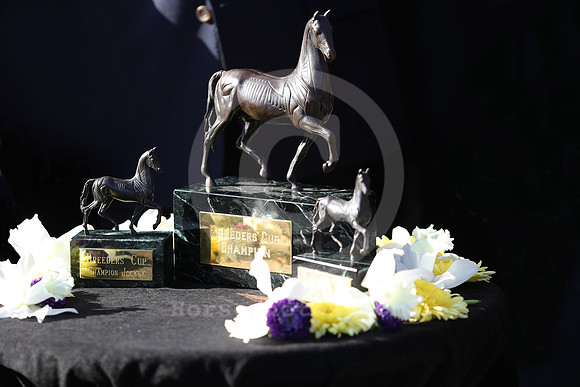breederscuptrophies25_rn_ADJ