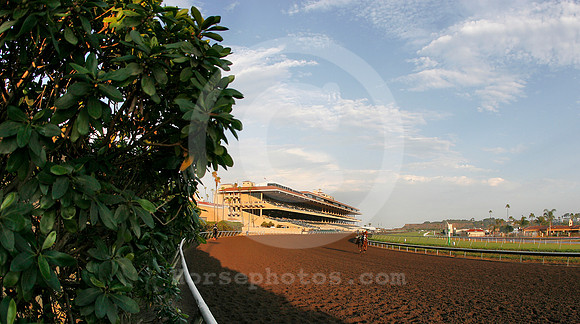 delmar23
