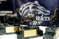 breederscup_trophy