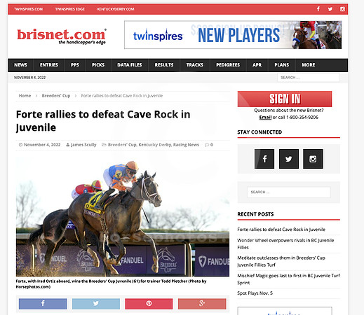 Forte_BC_Brisnet