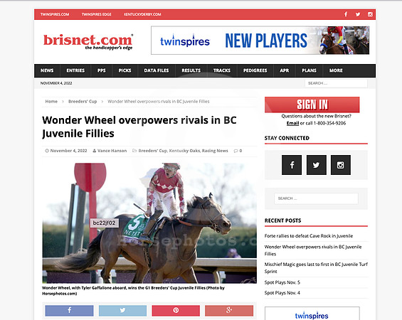 Wonder_wheel_BC_Brisnet