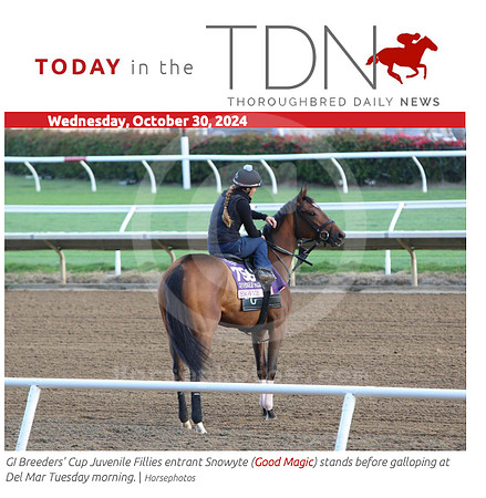 TDN 2024-11-04 at 9.43.22 AM (2)