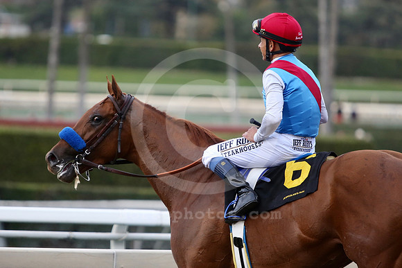 taiba17