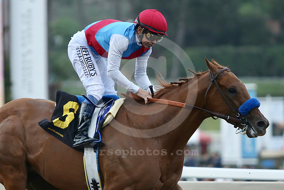 taiba16