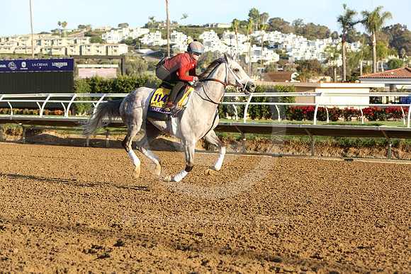 111tapit. trice054