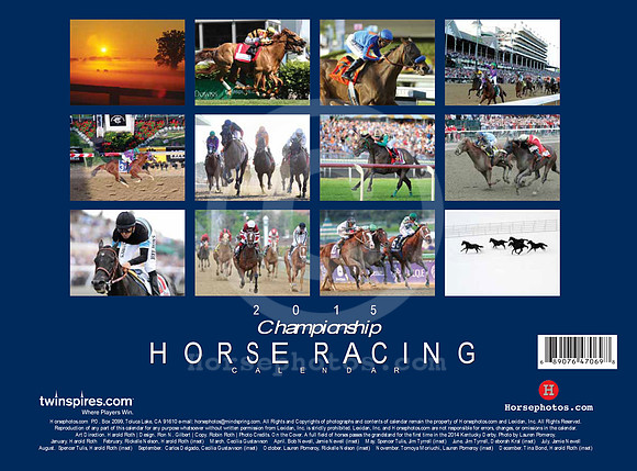 2015_Calendar_back