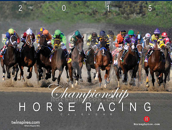 2015_calendar_cover