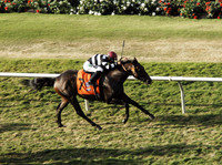 champpegasus06_tg