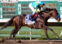 paynter55_dc
