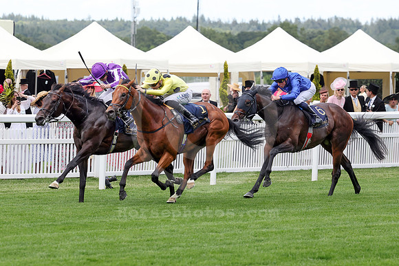 Bow Echo540ROYAL_ASCOT