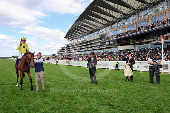 Bow Echo551ROYAL_ASCOT