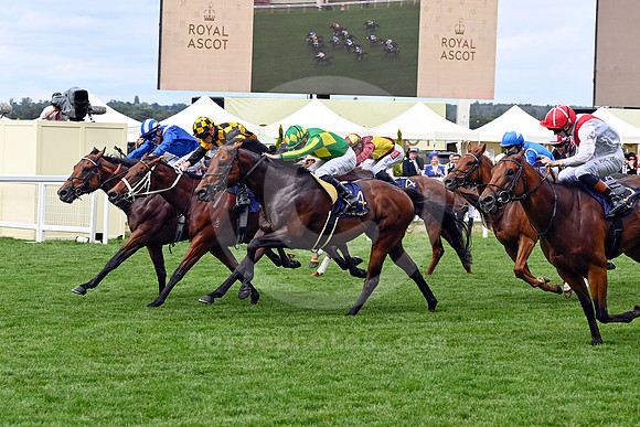 Almeraq985ROYAL_ASCOT