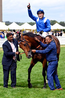 Almeraq988ROYAL_ASCOT