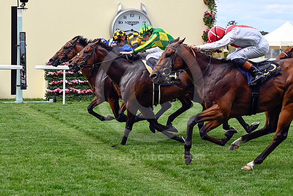 Almeraq986ROYAL_ASCOT
