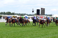 Almeraq984ROYAL_ASCOT