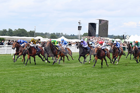 Almeraq984ROYAL_ASCOT