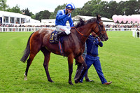 Almeraq987ROYAL_ASCOT
