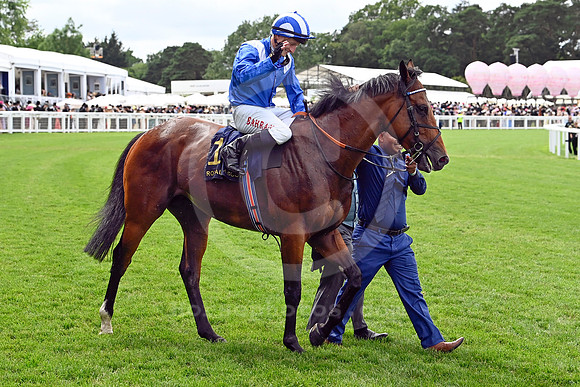 Almeraq987ROYAL_ASCOT
