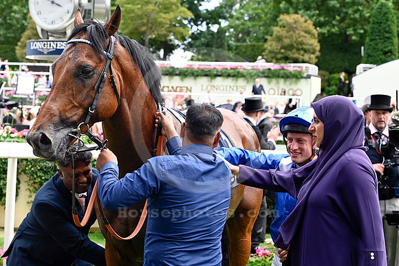Almeraq991ROYAL_ASCOT