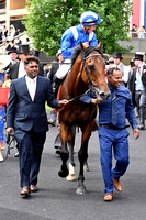 Almeraq989ROYAL_ASCOT
