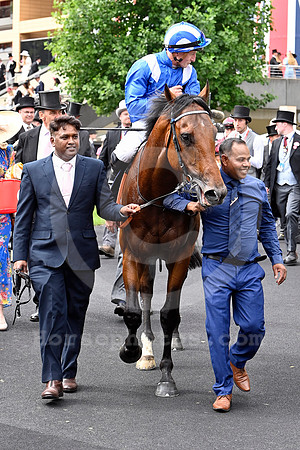 Almeraq989ROYAL_ASCOT