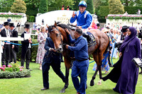 Almeraq990ROYAL_ASCOT