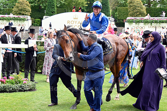 Almeraq990ROYAL_ASCOT