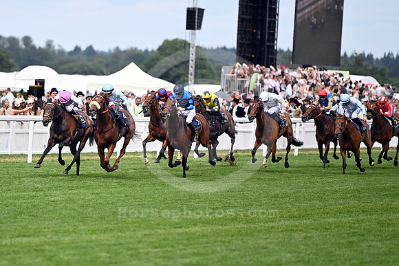 Giavellotto975ROYAL_ASCOT